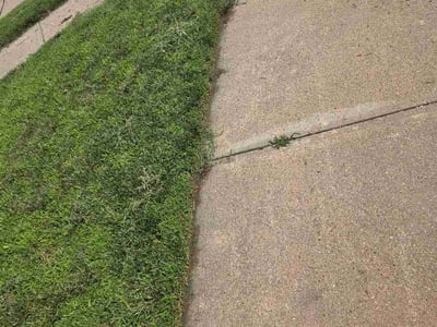 Lawn Care service in Kenmore, 98028