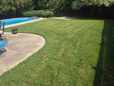 Lawn Care service in South Pasadena, 91030