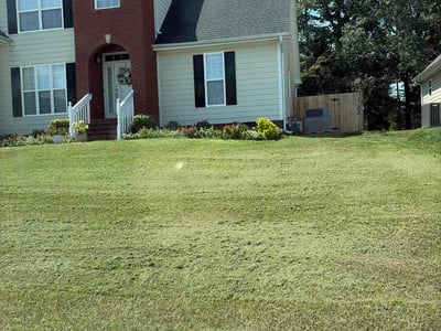 Lawn Care service in Ooltewah, 37363