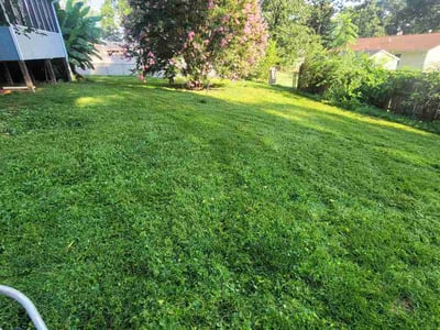 Lawn Care service in Ooltewah, 37363