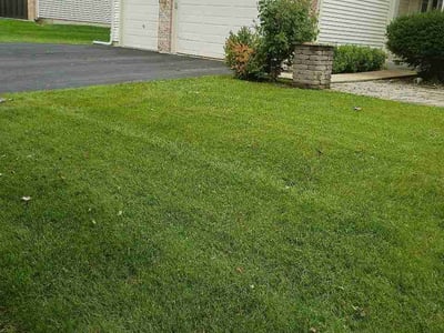 Lawn Care service in Crystal Lake, 60014