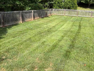 Lawn Care service in Weaverville, 28787