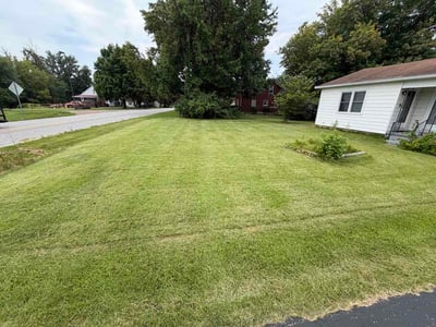 Lawn Care service in Radcliff, 40160