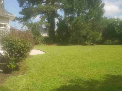 Lawn Care service in Loris, 29569