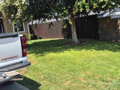 Lawn Care service in San Jacinto, 92583