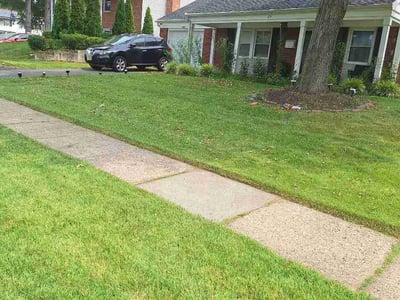 Lawn Care service in Cherry Hill, 08002