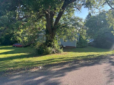 Lawn Care service in Knoxville, 37902