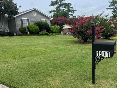 Lawn Care service in Loris, 29569