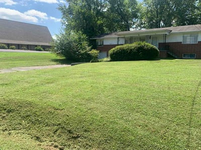 Lawn Care service in Soddy Daisy, 37379