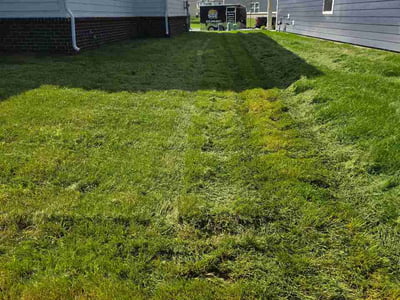 Lawn Care service in Broad Ripple, 46220