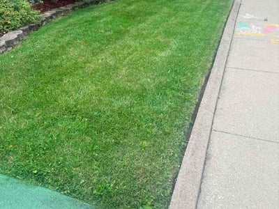 Lawn Care service in Westmont, 60559