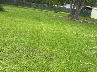 Lawn Care service in Menifee, 92586