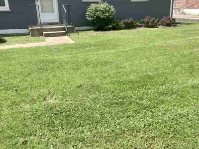 Lawn Care service in Nicholasville, 40356