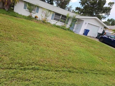 Lawn Care service in Venice, 90291