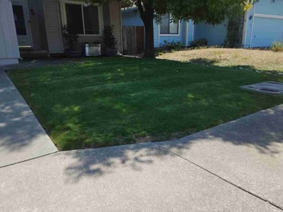 Lawn Care service in Rohnert Park, 94928