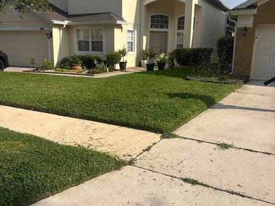 Lawn Care service in Rohnert Park, 94928