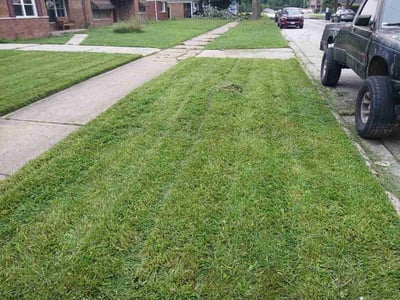 Lawn Care service in Dolton, 60419