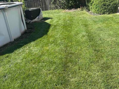 Lawn Care service in Plainfield, 60544