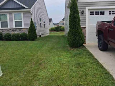 Lawn Care service in Ruther Glen, 22546