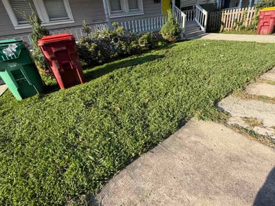 Lawn Care service in Ruther Glen, 22546