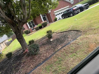 Lawn Care service in Encino, 91316