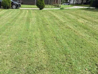 Lawn Care service in Encino, 91316
