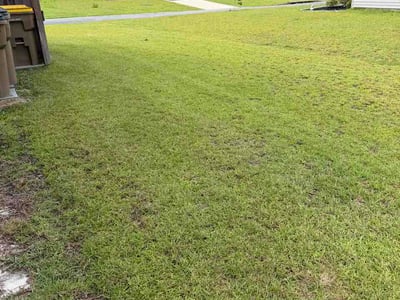 Lawn Care service in Dalton, 30720