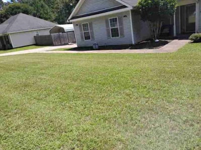 Lawn Care service in Dalton, 30720