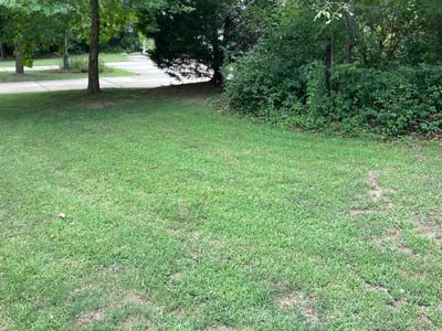 Lawn Care service in Monroe, 98272