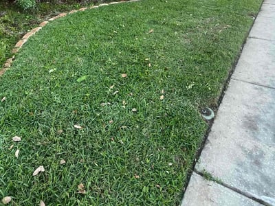 Lawn Care service in Syracuse, 13202