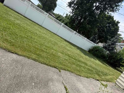Lawn Care service in Elmhurst, 60126