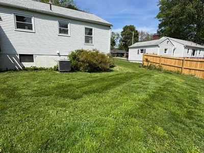 Lawn Care service in Silver Spring, 20910