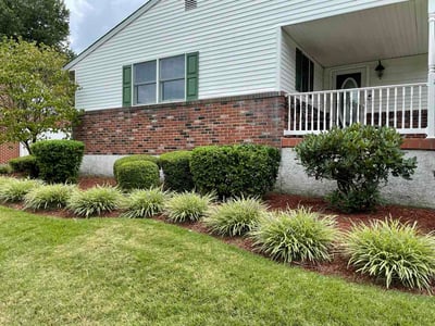 Lawn Care service in Silver Spring, 20910