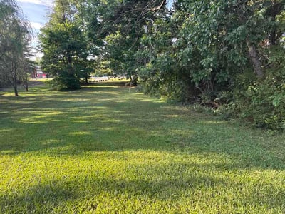 Lawn Care service in Fort Mill, 29715