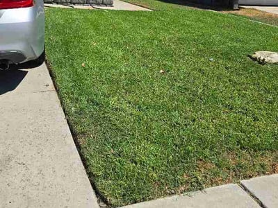Lawn Care service in Colton, 92324