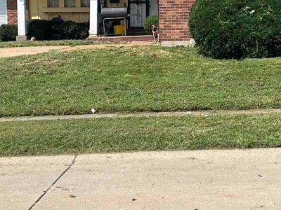Lawn Care service in Bell Gardens, 90201