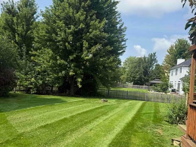 Lawn Care service in Lake Villa, 60046