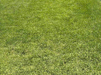 Lawn Care service in Chino, 91710