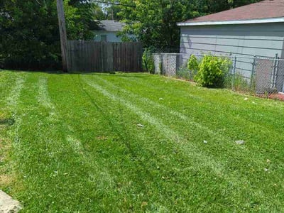 Lawn Care service in Cicero, 60804