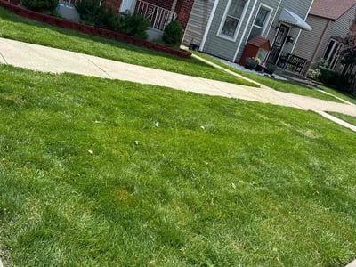 Lawn Care service in Cicero, 60804