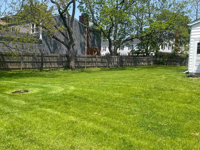 Lawn Care service in Cicero, 60804