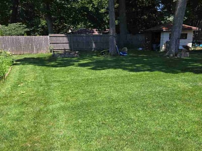 Lawn Care service in Highland Park, 60035