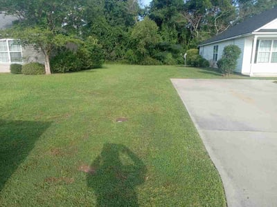 Lawn Care service in Albany, 31701
