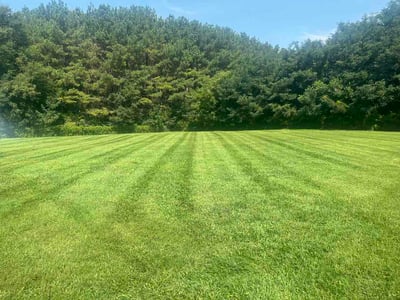Lawn Care service in Bessemer City, 28016