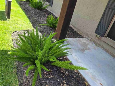 Lawn Care service in Glendora, 91741