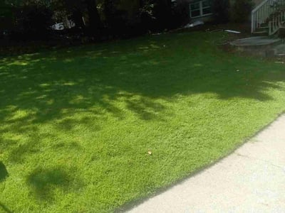 Lawn Care service in Glendora, 91741