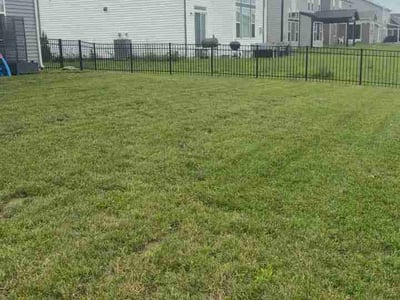 Lawn Care service in Cumberland, 46229