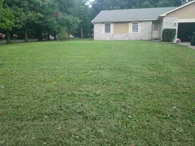 Lawn Care service in Cumberland, 46229