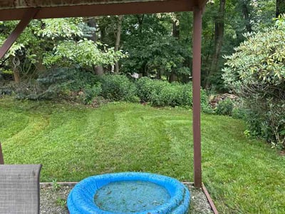 Lawn Care service in Belle Vernon, 15012