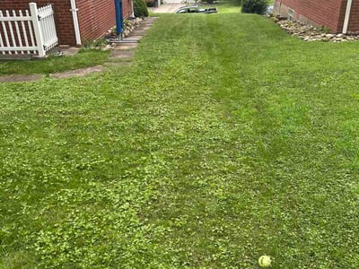 Lawn Care service in Belle Vernon, 15012